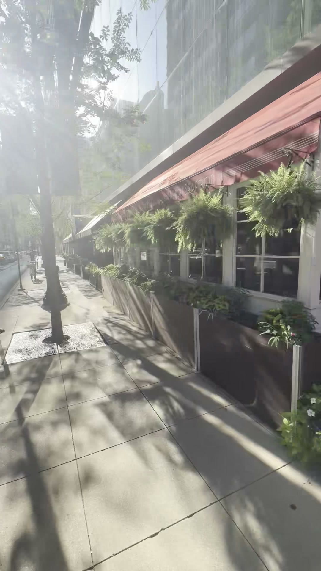 A cafe I passed on the way, with ferns hanging under the awning
