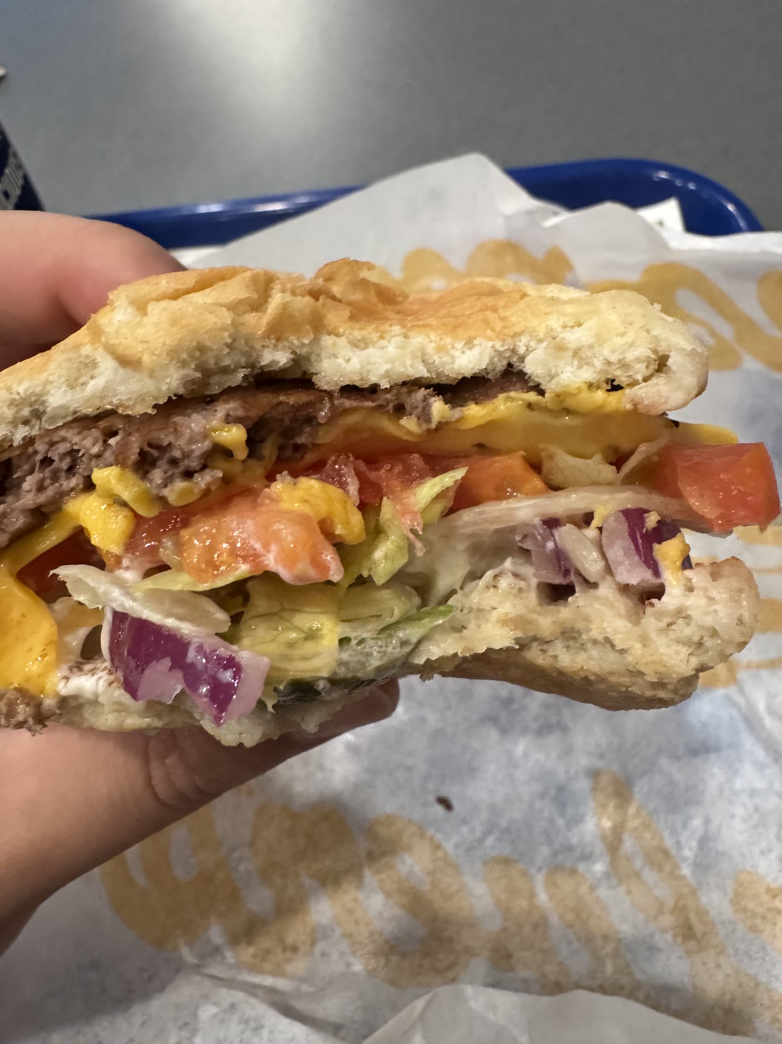 Cross-section of a bite, showing patty, cheese, lettuce, tomato, and onion