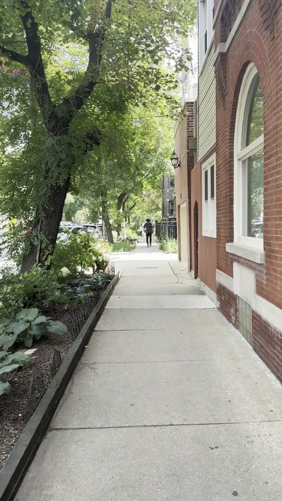 A tree-lined sidewalk in the Wrigleyville neighborhood
